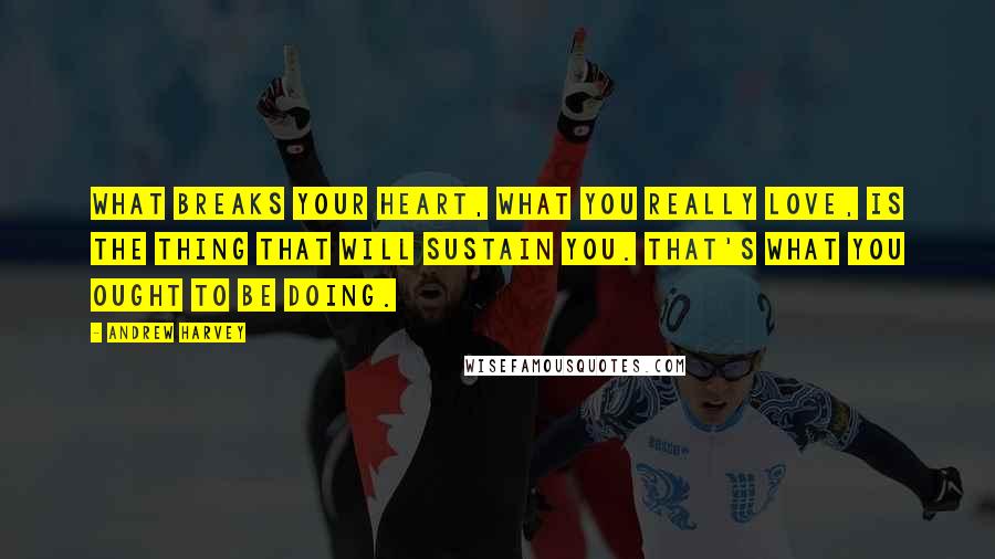 Andrew Harvey Quotes: What breaks your heart, what you really love, is the thing that will sustain you. That's what you ought to be doing.