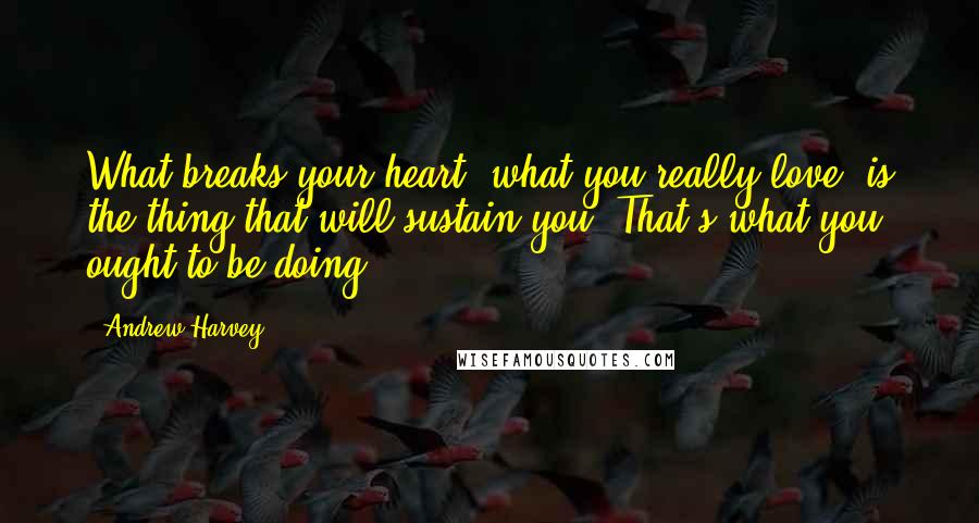 Andrew Harvey Quotes: What breaks your heart, what you really love, is the thing that will sustain you. That's what you ought to be doing.