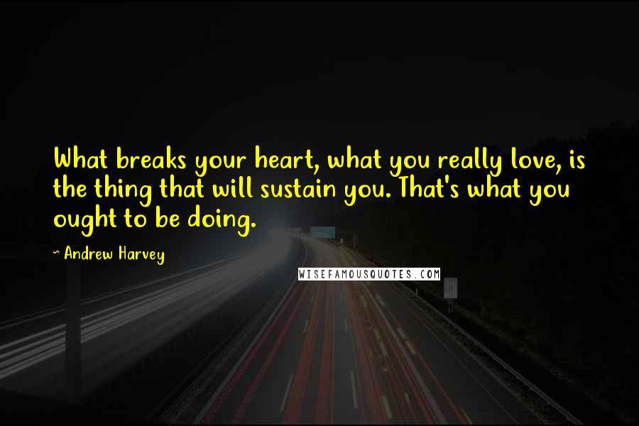 Andrew Harvey Quotes: What breaks your heart, what you really love, is the thing that will sustain you. That's what you ought to be doing.