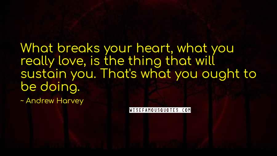 Andrew Harvey Quotes: What breaks your heart, what you really love, is the thing that will sustain you. That's what you ought to be doing.