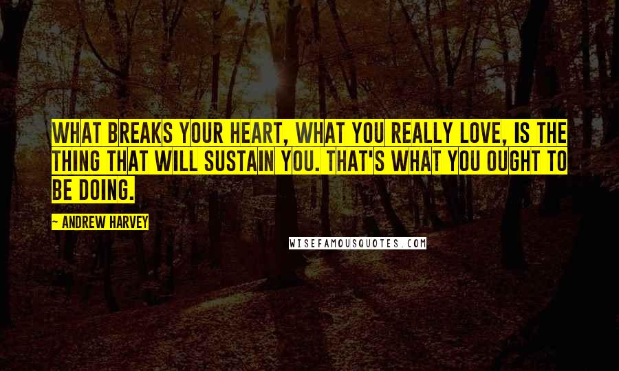 Andrew Harvey Quotes: What breaks your heart, what you really love, is the thing that will sustain you. That's what you ought to be doing.