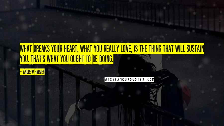 Andrew Harvey Quotes: What breaks your heart, what you really love, is the thing that will sustain you. That's what you ought to be doing.