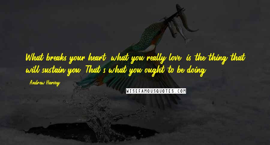 Andrew Harvey Quotes: What breaks your heart, what you really love, is the thing that will sustain you. That's what you ought to be doing.