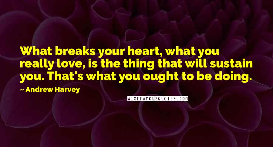 Andrew Harvey Quotes: What breaks your heart, what you really love, is the thing that will sustain you. That's what you ought to be doing.
