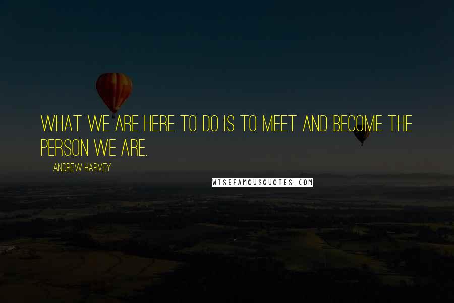 Andrew Harvey Quotes: What we are here to do is to meet and become the person we are.