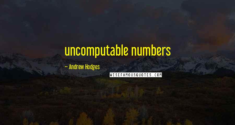 Andrew Hodges Quotes: uncomputable numbers