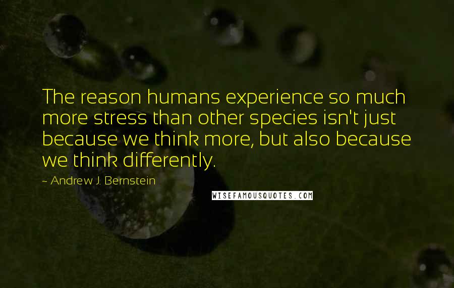 Andrew J. Bernstein Quotes: The reason humans experience so much more stress than other species isn't just because we think more, but also because we think differently.