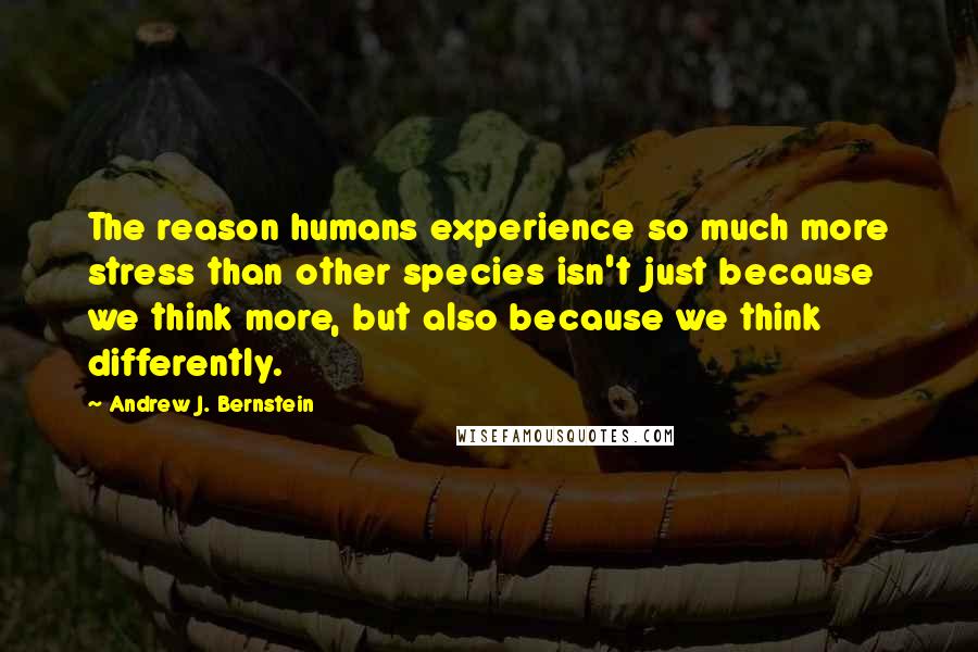 Andrew J. Bernstein Quotes: The reason humans experience so much more stress than other species isn't just because we think more, but also because we think differently.