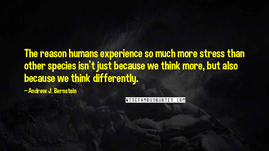 Andrew J. Bernstein Quotes: The reason humans experience so much more stress than other species isn't just because we think more, but also because we think differently.