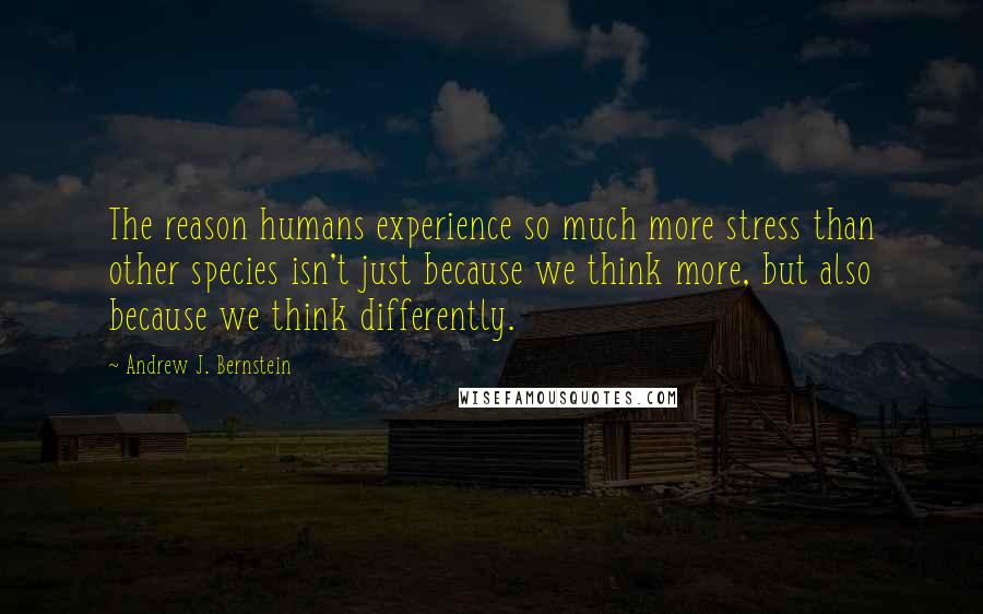 Andrew J. Bernstein Quotes: The reason humans experience so much more stress than other species isn't just because we think more, but also because we think differently.