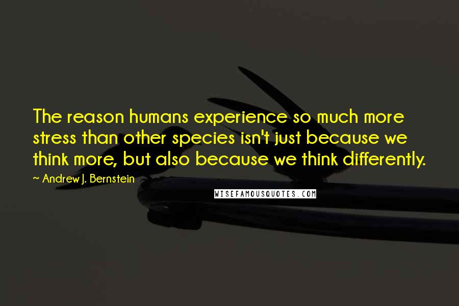 Andrew J. Bernstein Quotes: The reason humans experience so much more stress than other species isn't just because we think more, but also because we think differently.