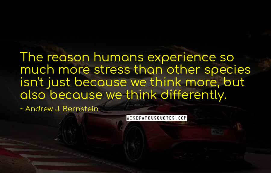 Andrew J. Bernstein Quotes: The reason humans experience so much more stress than other species isn't just because we think more, but also because we think differently.