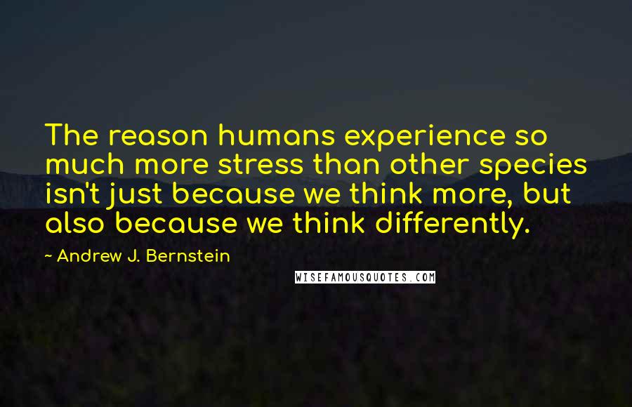 Andrew J. Bernstein Quotes: The reason humans experience so much more stress than other species isn't just because we think more, but also because we think differently.