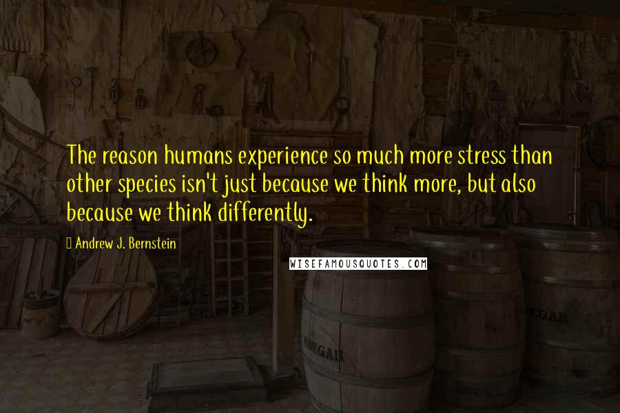 Andrew J. Bernstein Quotes: The reason humans experience so much more stress than other species isn't just because we think more, but also because we think differently.