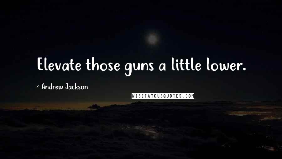 Andrew Jackson Quotes: Elevate those guns a little lower.