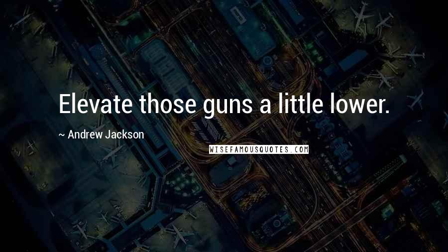 Andrew Jackson Quotes: Elevate those guns a little lower.