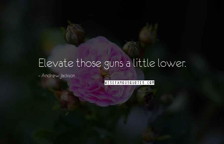 Andrew Jackson Quotes: Elevate those guns a little lower.