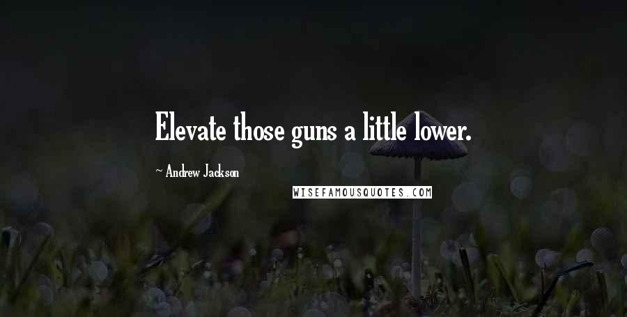 Andrew Jackson Quotes: Elevate those guns a little lower.