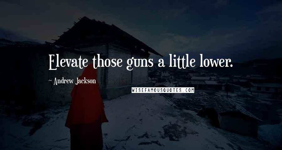 Andrew Jackson Quotes: Elevate those guns a little lower.