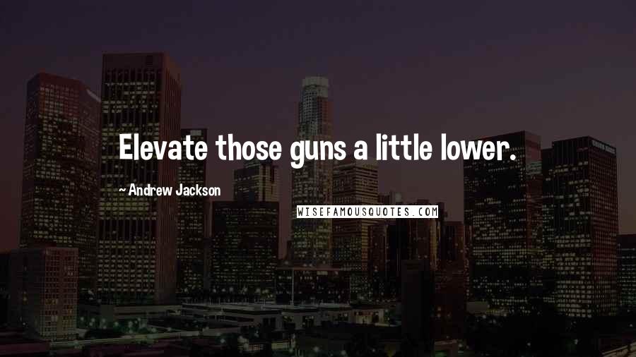 Andrew Jackson Quotes: Elevate those guns a little lower.