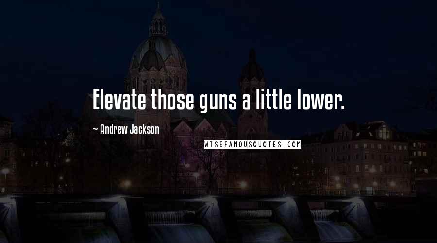 Andrew Jackson Quotes: Elevate those guns a little lower.