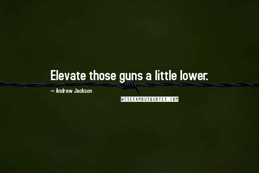 Andrew Jackson Quotes: Elevate those guns a little lower.