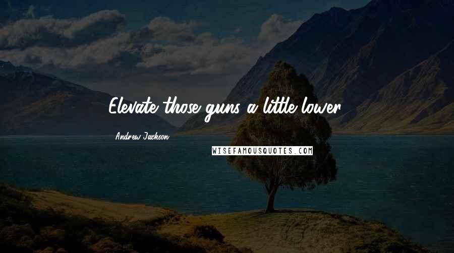 Andrew Jackson Quotes: Elevate those guns a little lower.