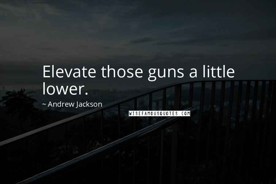 Andrew Jackson Quotes: Elevate those guns a little lower.