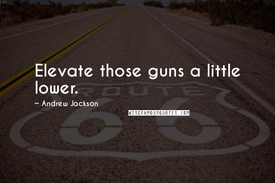 Andrew Jackson Quotes: Elevate those guns a little lower.