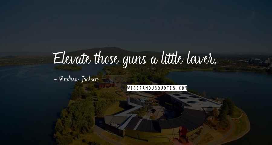 Andrew Jackson Quotes: Elevate those guns a little lower.