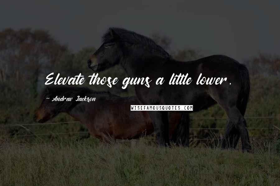 Andrew Jackson Quotes: Elevate those guns a little lower.