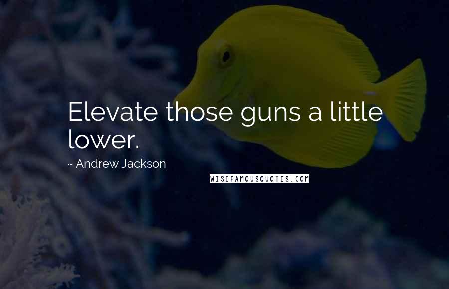 Andrew Jackson Quotes: Elevate those guns a little lower.