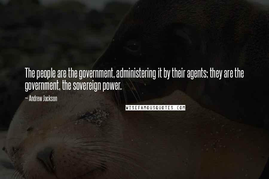 Andrew Jackson Quotes: The people are the government, administering it by their agents; they are the government, the sovereign power.