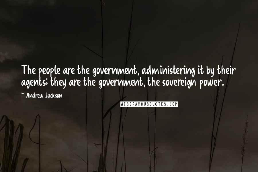 Andrew Jackson Quotes: The people are the government, administering it by their agents; they are the government, the sovereign power.