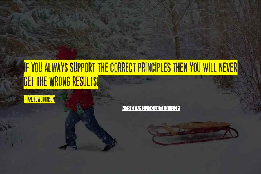 Andrew Johnson Quotes: If you always support the correct principles then you will never get the wrong results!