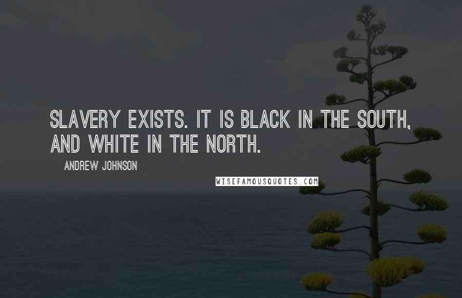 Andrew Johnson Quotes: Slavery exists. It is black in the South, and white in the North.