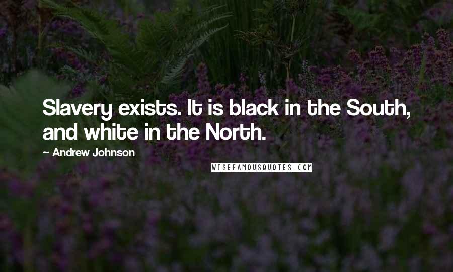 Andrew Johnson Quotes: Slavery exists. It is black in the South, and white in the North.