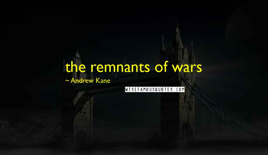 Andrew Kane Quotes: the remnants of wars