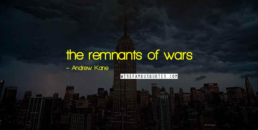 Andrew Kane Quotes: the remnants of wars