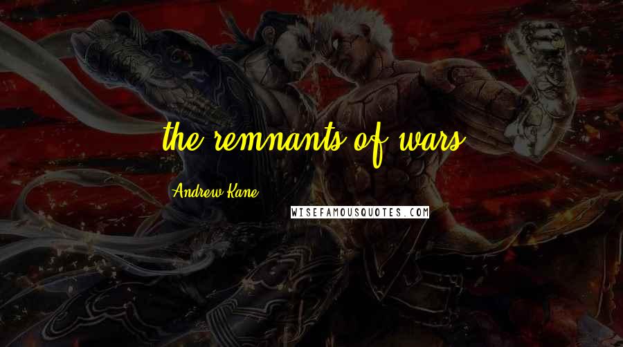 Andrew Kane Quotes: the remnants of wars