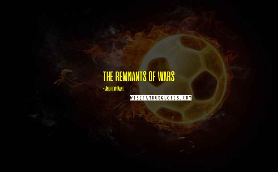 Andrew Kane Quotes: the remnants of wars