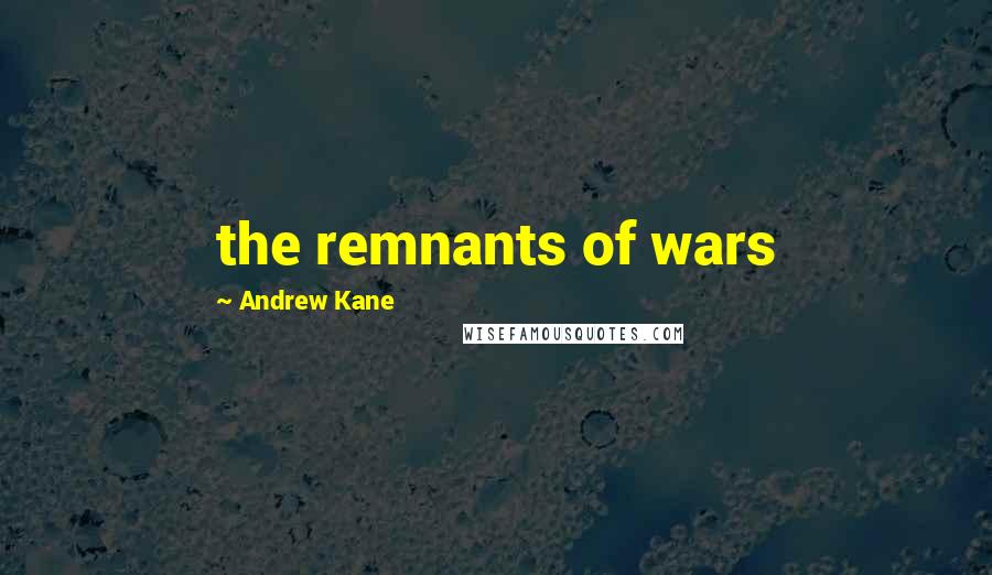 Andrew Kane Quotes: the remnants of wars