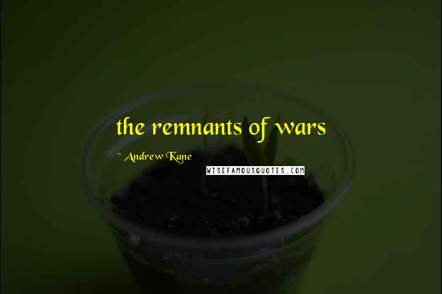 Andrew Kane Quotes: the remnants of wars