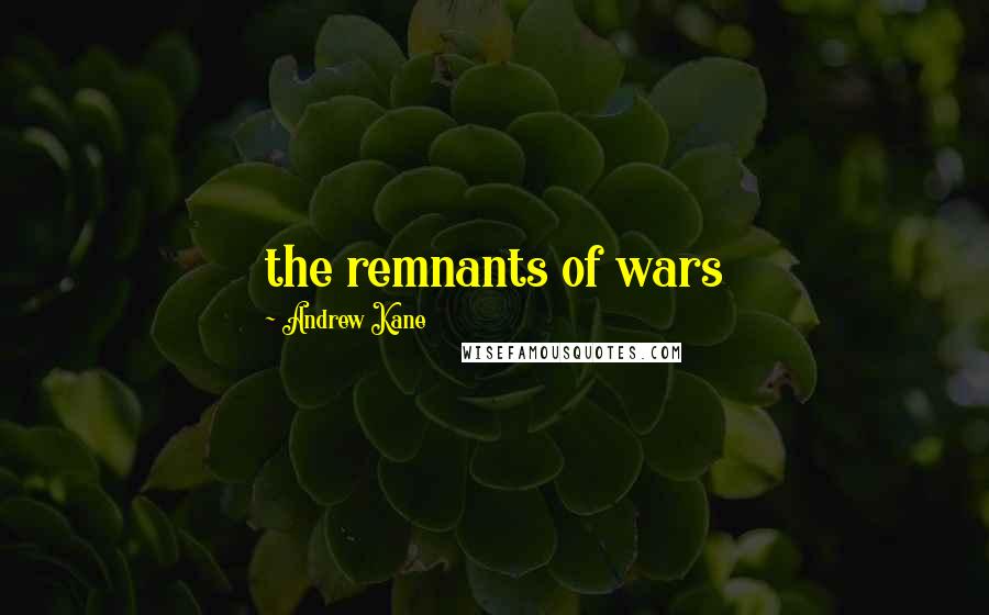 Andrew Kane Quotes: the remnants of wars