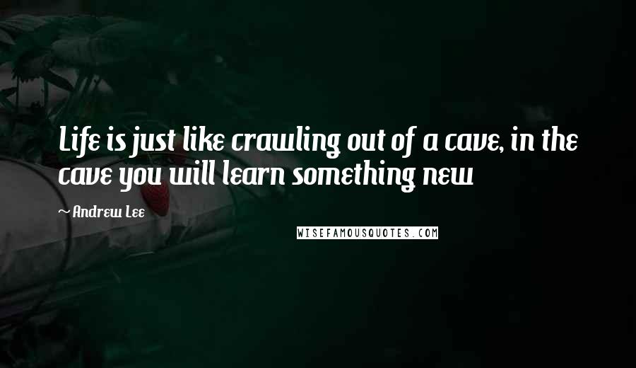 Andrew Lee Quotes: Life is just like crawling out of a cave, in the cave you will learn something new