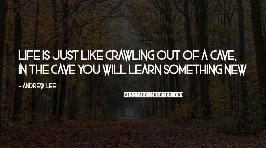 Andrew Lee Quotes: Life is just like crawling out of a cave, in the cave you will learn something new