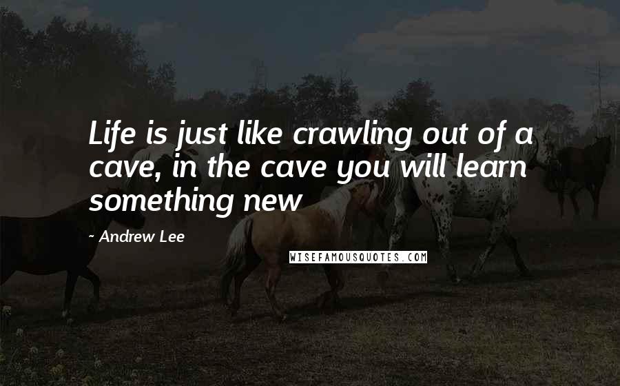 Andrew Lee Quotes: Life is just like crawling out of a cave, in the cave you will learn something new