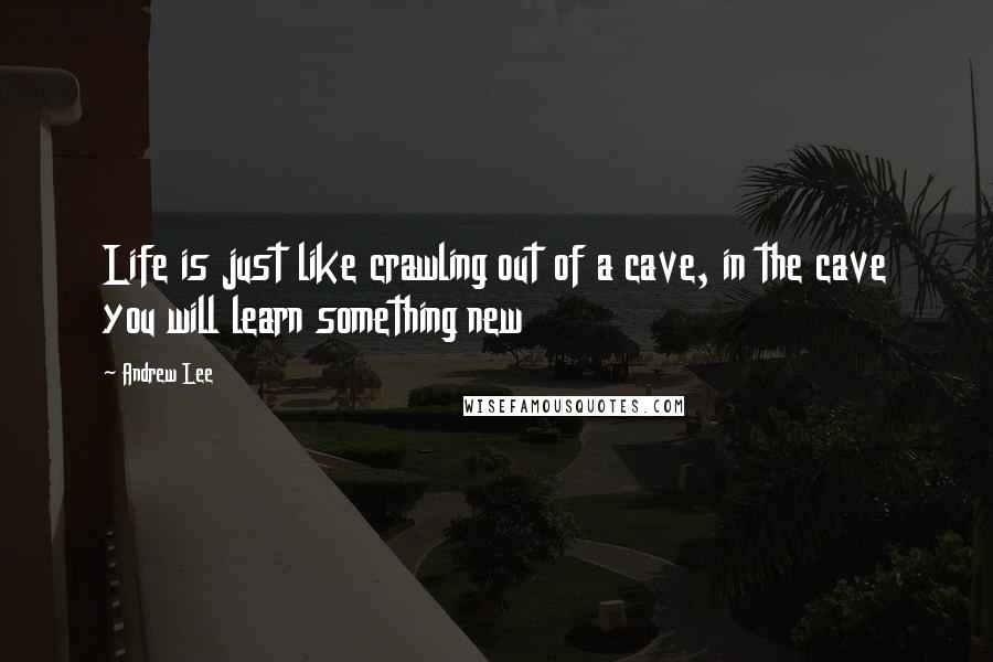 Andrew Lee Quotes: Life is just like crawling out of a cave, in the cave you will learn something new