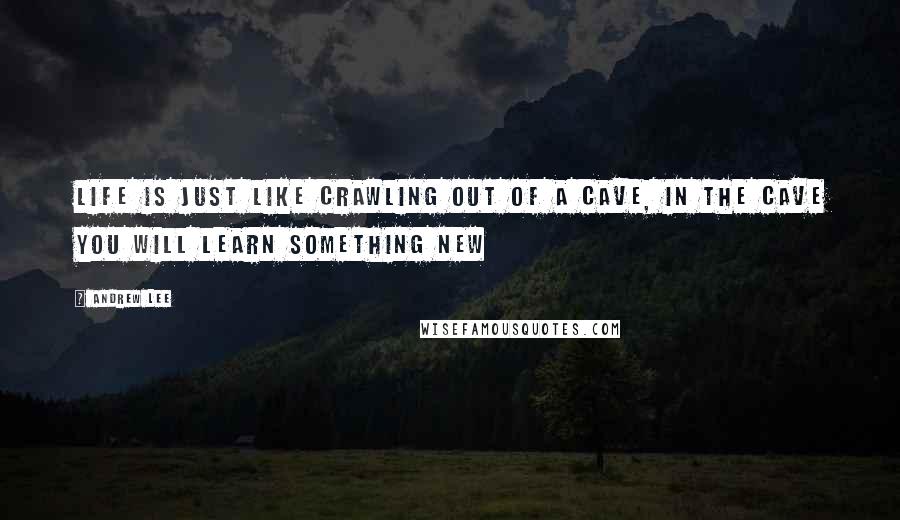 Andrew Lee Quotes: Life is just like crawling out of a cave, in the cave you will learn something new