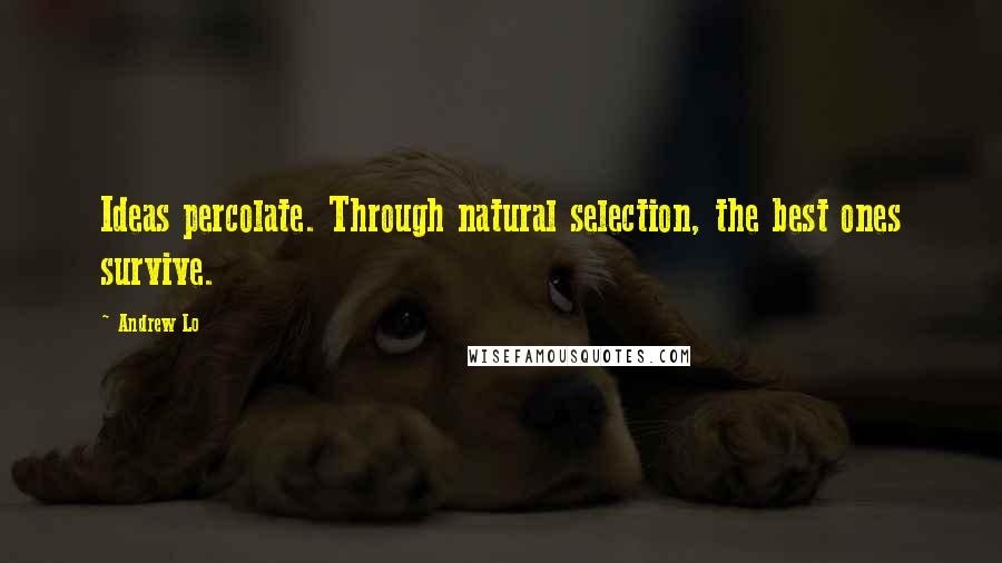 Andrew Lo Quotes: Ideas percolate. Through natural selection, the best ones survive.